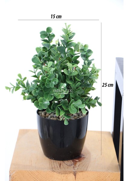 Yapay Yoğun Yaprakli Okaliptus Saksılı 25 cm