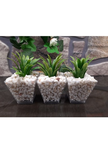 Yapay Çiçek 3'lü Kübik Saksıda Şefrole (Ebat 6 x 10) 014YSERI modelleri