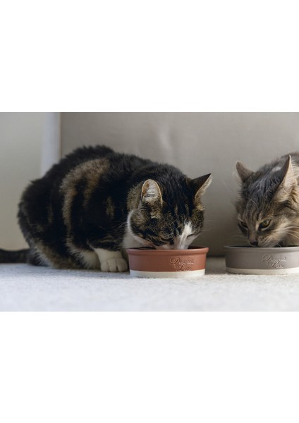 Dbl Kedi Mama Su Kabı, Seramik, Mat Kiremit, 12CM, 300ML Gnzrz