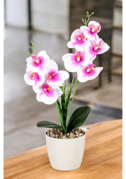 Dekoratif 2li Mini Yapay Islak Orkide Tanzimi Fuşya-Beyaz 40 cm