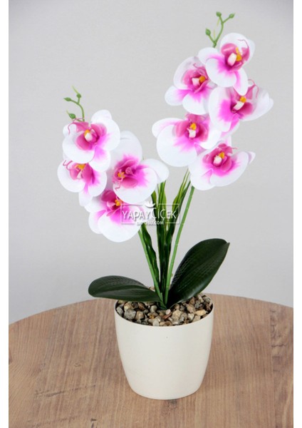 Dekoratif 2li Mini Yapay Islak Orkide Tanzimi Fuşya-Beyaz 40 cm fiyatları