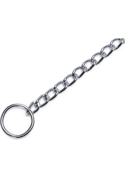 Köpek Boyun Tasması, Zincir, 55X0,8X0,25CM Gnzrz fırsatları
