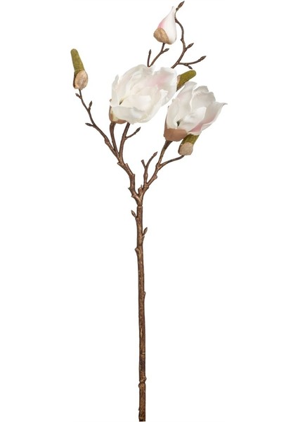 Manolya Çiçeği Beyaz 51 cm