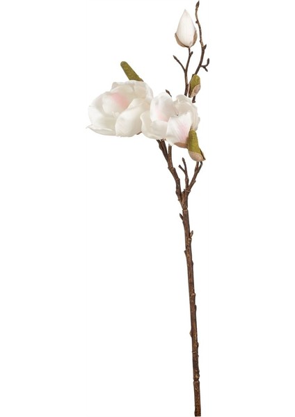 Manolya Çiçeği Beyaz 51 cm