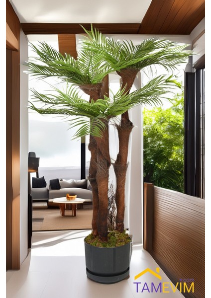 Her Köşeye Uyumlu - Yapay Ağaç Areka Palmiye 3 Katlı 38 Yaprak 130 cm