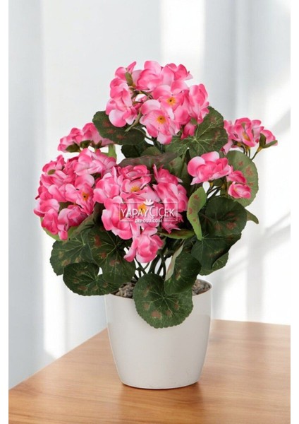 Yapay Çiçek Saksılı Sardunya Çiçeği 30 cm Pembe fiyatları