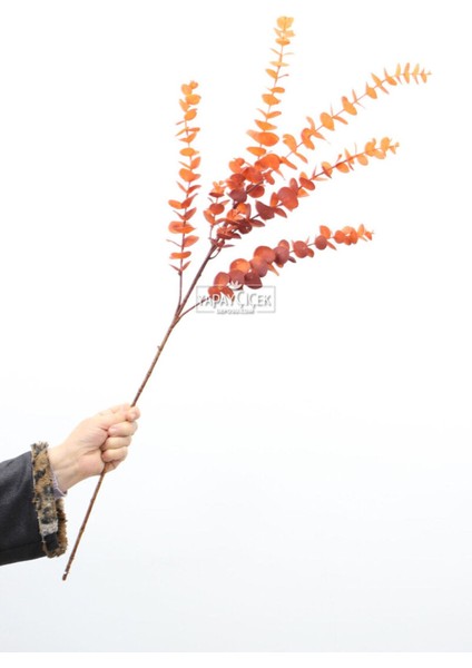 Yapay Retro Pastel Okaliptus Dalı 88 cm Turuncu