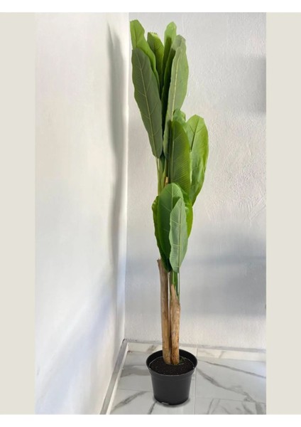 180 3 Köklü Yapay Ağaç Muz Ağacı Yapay Starliçe 180CM