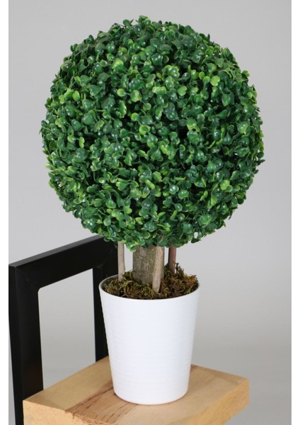 Yapay Küçük Şimşir Ağacı 46 cm Beyaz Saksılı