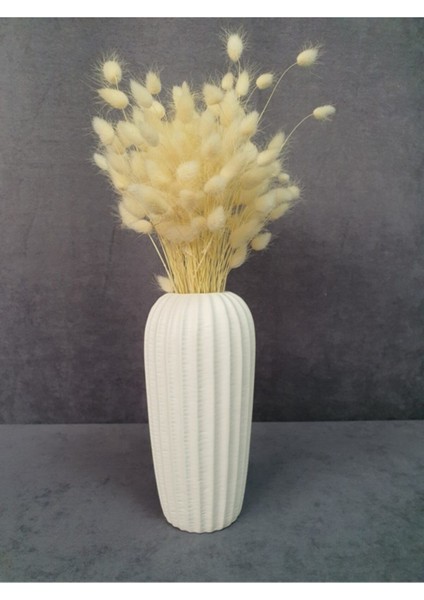 Kuru Çiçek Pamuk Otu Demeti 35-40 cm Beyaz