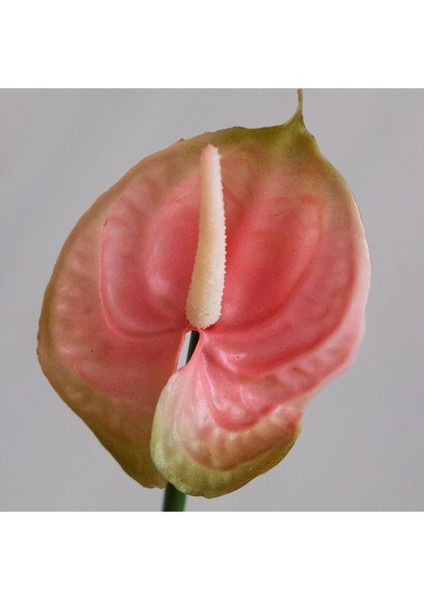 Yapay Antoryum Çiçeği Canlı Dokunuş Pembe 40 cm fiyatları