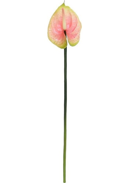 Yapay Antoryum Çiçeği Canlı Dokunuş Pembe 40 cm modelleri