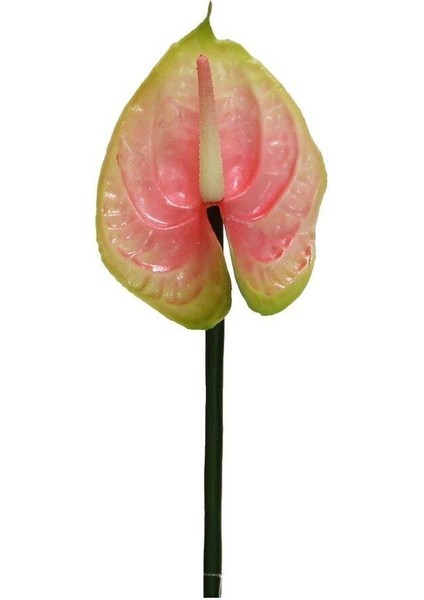 Yapay Antoryum Çiçeği Canlı Dokunuş Pembe 40 cm fırsatları