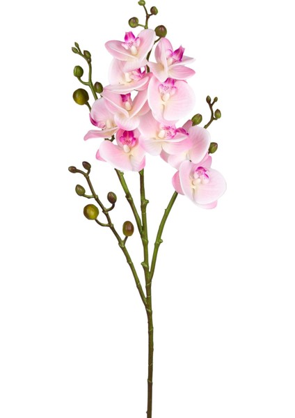 Yapay Orkide Gerçek Dokulu Pembe 80 cm .