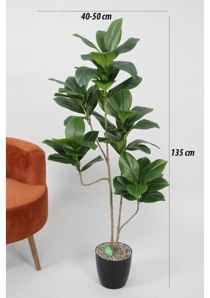 Yapay Ağac Kauçuk 5 Gövdeli 135 cm