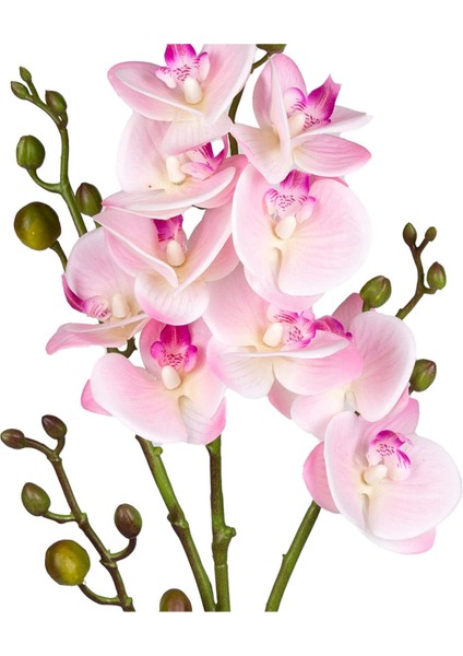 Yapay Orkide Gerçek Dokulu Pembe 80 cm . fiyatları