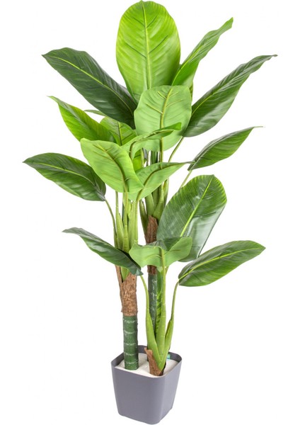 Yapay Ağaç Difenbahya Gerçek Dokulu 21 Yaprak 120 Cm.