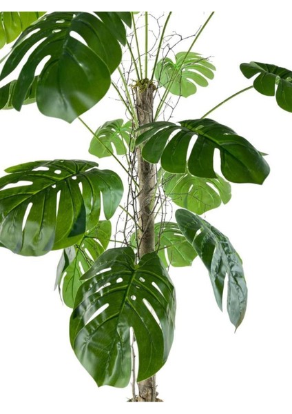 Yapay Ağaç Monstera 18 Dallı Çalılı Gövde 120 x 60 cm Gümüş Aleminyum Saksıda indirimleri