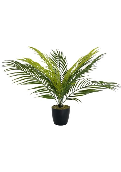 Yapay Çiçek Palmiye Siyah Plastik Saksılı Areka Yapay Bitki Salon Çiçeği 9 Yaprak 50 cm