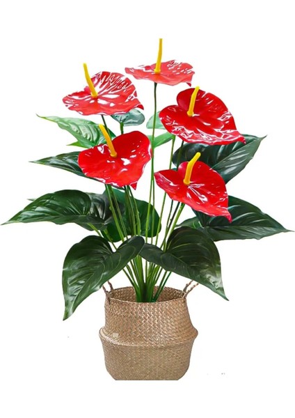 Rüzgar Yapay Çiçekçilik Antoryum Çiçeği