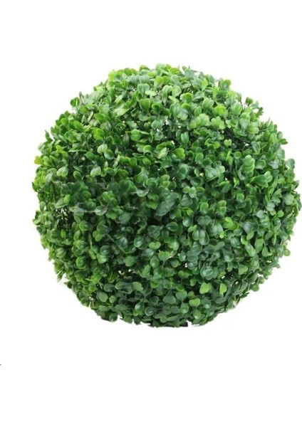 Rüzgar Yapay Çiçekçilik 22 cm Şimşir Top
