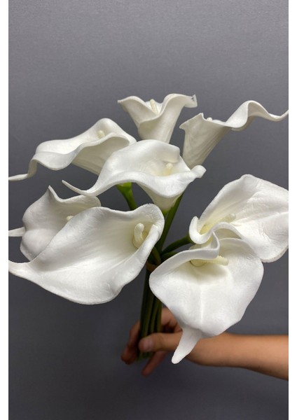 Yapay Çiçek Beyaz Islak Görünümlü Yapay Gala Çiçeği 8 Adet fiyatları