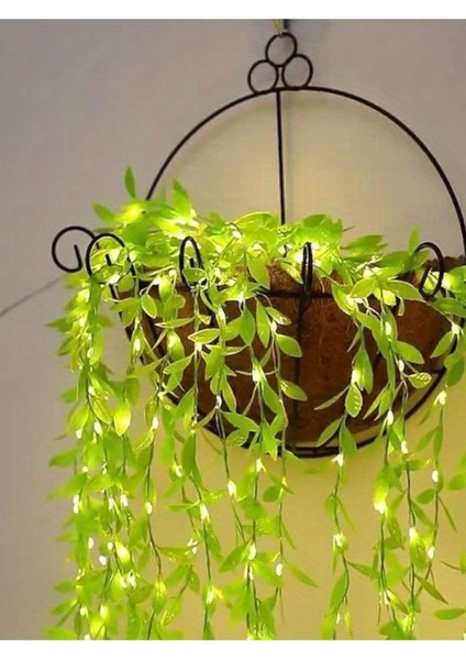 Ağlayan Söğüt Ağacı Dalı Sarmaşık Bitki 1 Metre 5 Dallı ve 3 Metre Peri LED Piller Dahil