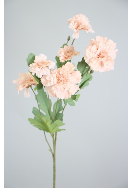 Yapay 6lı Gerbera Dalı 80 cm Pudra