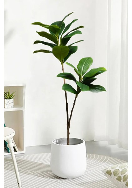 Yapay Ağac Kauçuk Bitkisi 2 Dallı 105 cm (Saksısız)