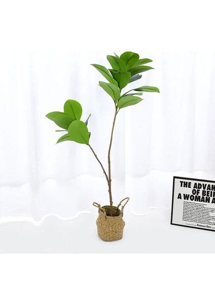 Yapay Ağac Kauçuk Bitkisi 2 Dallı 105 cm (Saksısız)