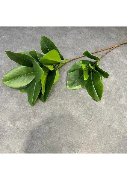 Yapay Ağac Kauçuk Bitkisi 2 Dallı 105 cm (Saksısız)
