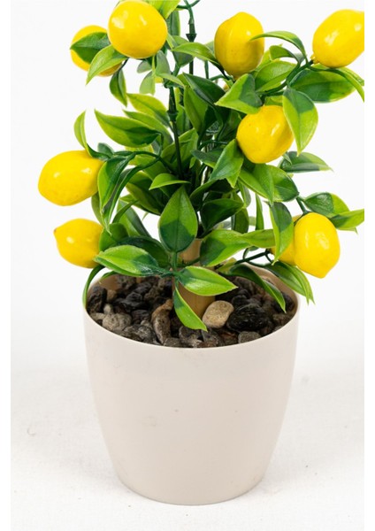 Beyaz Plastik Saksıda Bambu Gövdeli Yapay Limon Ağacı 25 cm modelleri