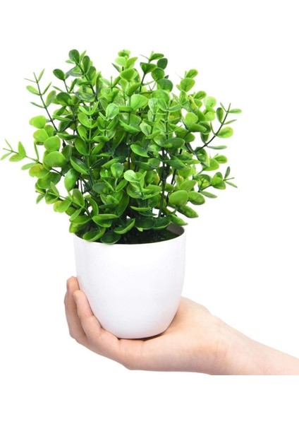 Yapay Çiçek Beyaz Saksıda Yeşil Şimşir Dekoratif Masa Çiçeği