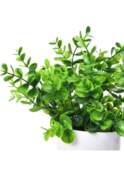 Yapay Çiçek Beyaz Saksıda Yeşil Şimşir Dekoratif Masa Çiçeği fiyatları