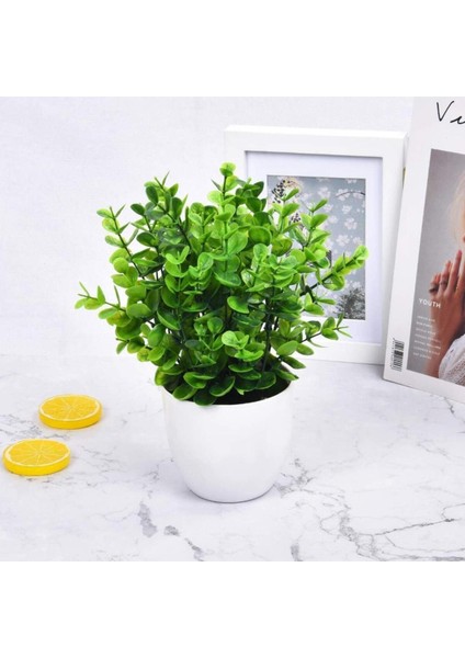 Yapay Çiçek Beyaz Saksıda Yeşil Şimşir Dekoratif Masa Çiçeği indirimleri