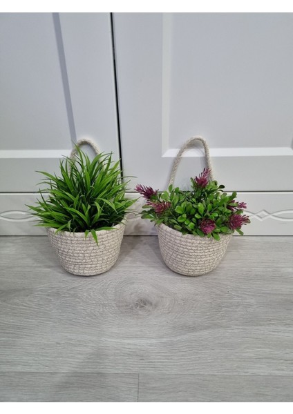 Sepet Mini Dekoratif 2'li Çiçeklik 12 x 10 cm