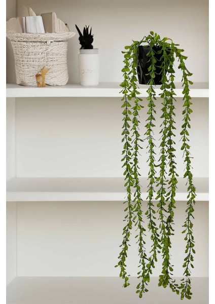 Yapay Çiçek Saksıda 70 cm Elodea Sarkan Yeşillik
