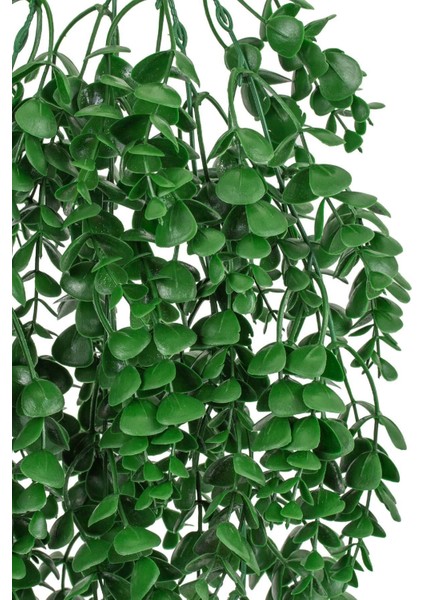 Sarkan Yapay Dal Şimşir Yeşillik modelleri