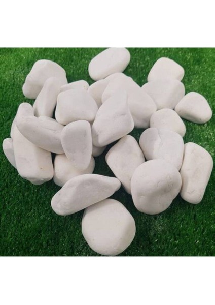 Dekoratif Beyaz Iri Çakıl Taşı Küllük Teraryum Taşı 1750 gr