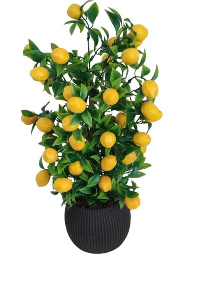 Limon Ağacı Mutfak Süsü 50 cm Antrasit Saksıda