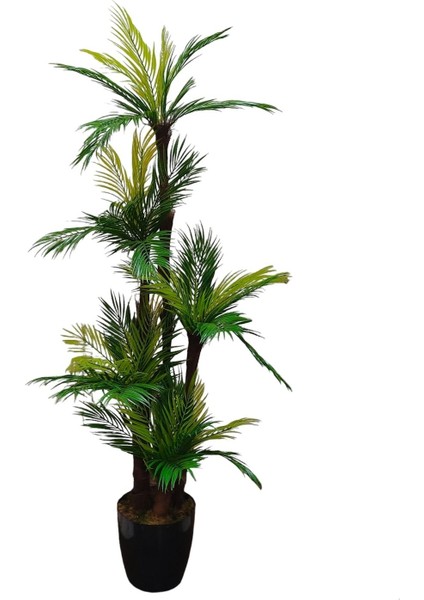 Areka Palmiye Ağacı 5 Gövdeli Yoğun Yapraklı Ev ve Ofis Için Yapay Ağaç