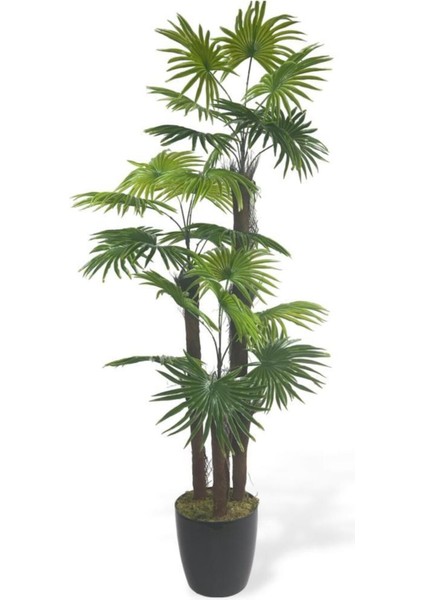 Yapay Ağaç Palmiye Fanpalm 3katlı 24YAPRAK 130*65 cm