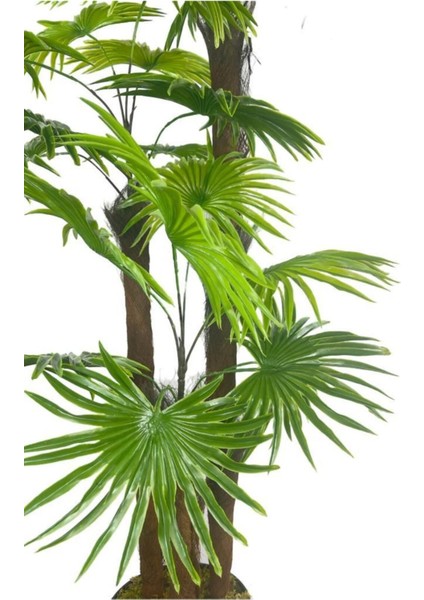 Yapay Ağaç Palmiye Fanpalm 3katlı 24YAPRAK 130*65 cm