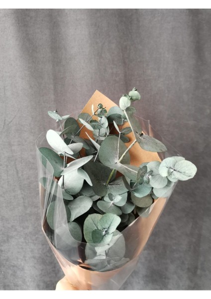 Kuru Çiçek Şoklanmış Okaliptus Demeti Mavi (50 cm )