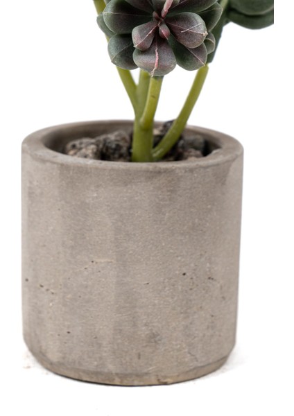 Beton Saksıda Yapay Kaktüs fırsatları