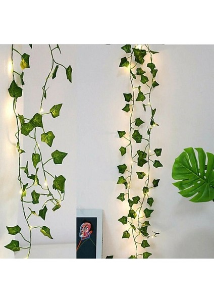 Dekoratif Yeşil Yapraklı Yapay Sarmaşık ve 3 Metre Peri LED Gün Işığı
