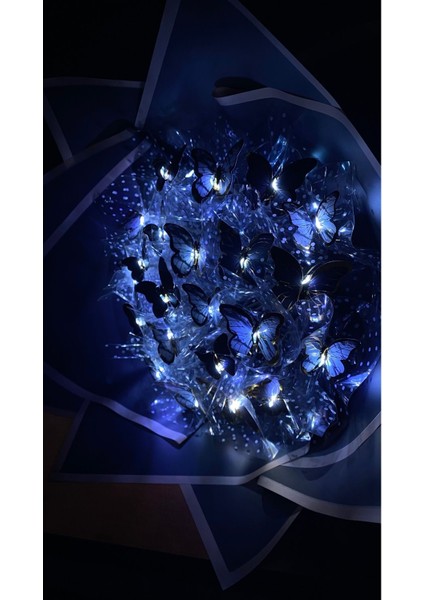 Işıklı Kelebek Buketi Sevgiliye Arkadaşa Hediye Buket fiyatları