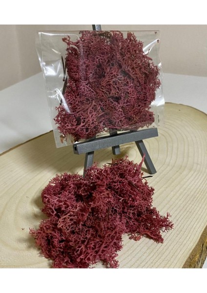 Mor Renk Organik Yosun / Moss