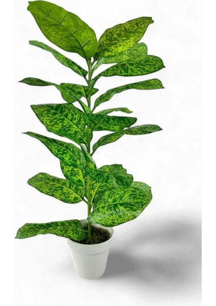 Yapay Çiçek Difenbahya Tropik Sarı Benekli 80 cm 23 Yapraklı Salon Çiçeği Beyaz Saksılı Yapay Bitki