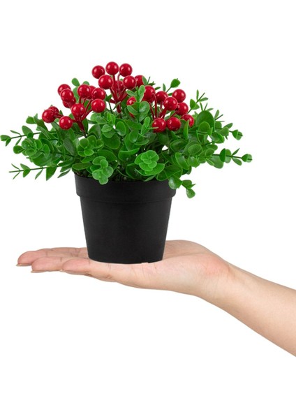 3’lü Set Siyah Mini Plastik Saksıda Yapay Mandalina, Kokina ve Nar Çiçeği modelleri